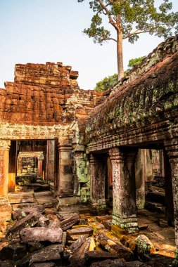 Angkor, Kamboçya - 26 Ocak 2025: Kamboçya 'daki Preah Khan Tapınağı' nın antik kalıntıları