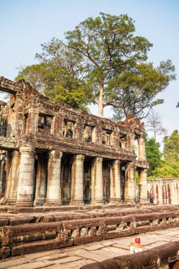 Angkor, Kamboçya - 26 Ocak 2025: Kamboçya 'daki Preah Khan Tapınağı' nın antik kalıntıları