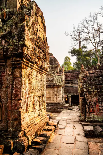 Angkor, Kamboçya - 26 Ocak 2025: Kamboçya 'daki Preah Khan Tapınağı' nın antik kalıntıları