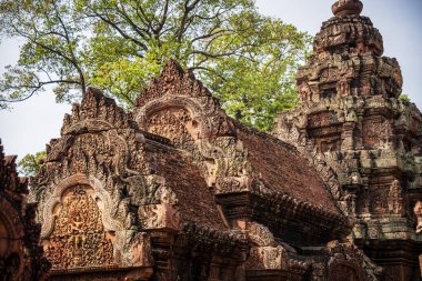 Banteay Srei Tapınağının antik kalıntıları, Angkor, Kamboçya