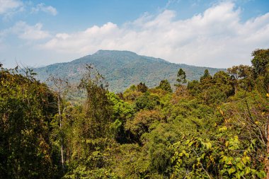 Sirikit Kraliçesi Botanik Bahçeleri, Tayland