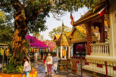 Bangkok, Tayland - 5 Şubat 2025 Sunny Weather Kraliyet Sarayı