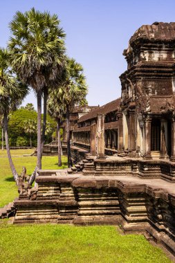 Angkor ne tapınağı Siem hasadı, Kamboçya