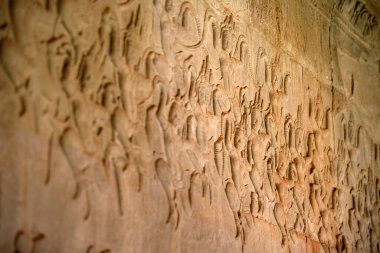 Angkor ne tapınağı Siem hasadı, Kamboçya