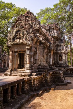 Angkor, Kamboçya 'daki Chau Say Tevoda Tapınağı' nın antik kalıntıları