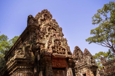 Angkor, Kamboçya 'daki Chau Say Tevoda Tapınağı' nın antik kalıntıları