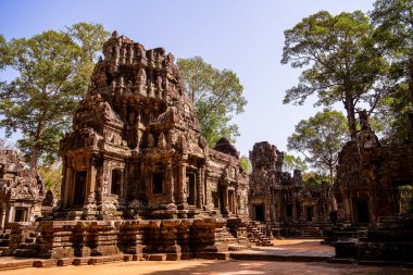 Angkor, Kamboçya 'daki Chau Say Tevoda Tapınağı' nın antik kalıntıları