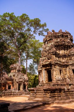 Angkor, Kamboçya 'daki Chau Say Tevoda Tapınağı' nın antik kalıntıları