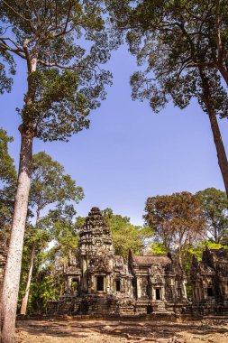Angkor, Kamboçya 'daki Chau Say Tevoda Tapınağı' nın antik kalıntıları