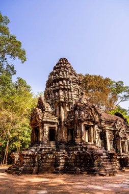 Angkor, Kamboçya 'daki Chau Say Tevoda Tapınağı' nın antik kalıntıları