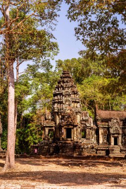 Angkor, Kamboçya 'daki Chau Say Tevoda Tapınağı' nın antik kalıntıları