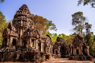 Angkor, Kamboçya 'daki Chau Say Tevoda Tapınağı' nın antik kalıntıları