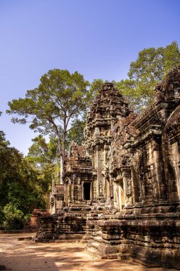 Angkor, Kamboçya 'daki Chau Say Tevoda Tapınağı' nın antik kalıntıları