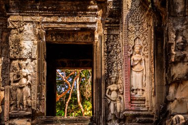 Angkor, Kamboçya 'daki Chau Say Tevoda Tapınağı' nın antik kalıntıları