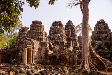 Angkor, Kamboçya 'daki Banteay Kdei Tapınağı' nın antik kalıntıları