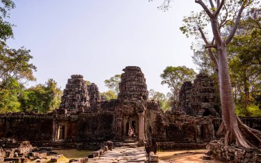 Angkor, Kamboçya 'daki Banteay Kdei Tapınağı' nın antik kalıntıları