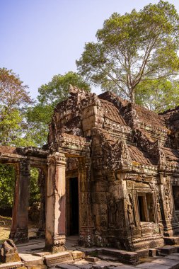 Angkor, Kamboçya 'daki Banteay Kdei Tapınağı' nın antik kalıntıları