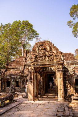 Angkor, Kamboçya 'daki Banteay Kdei Tapınağı' nın antik kalıntıları