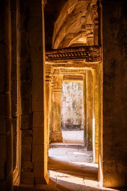 Angkor, Kamboçya 'daki Antik Ta Phrom Tapınağı
