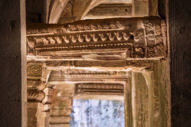 Angkor, Kamboçya 'daki Antik Ta Phrom Tapınağı