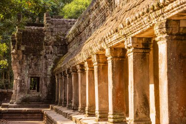 Angkor, Kamboçya 'daki Antik Ta Phrom Tapınağı