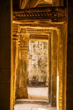 Angkor, Kamboçya 'daki Antik Ta Phrom Tapınağı