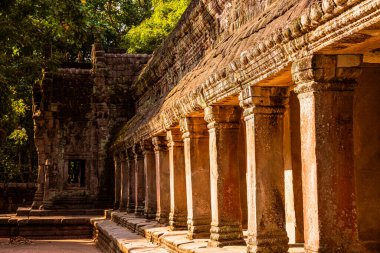 Angkor, Kamboçya 'daki Antik Ta Phrom Tapınağı