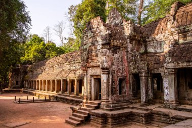 Angkor, Kamboçya 'daki Antik Ta Phrom Tapınağı