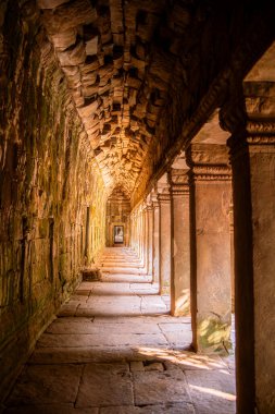 Angkor, Kamboçya 'daki Antik Ta Phrom Tapınağı