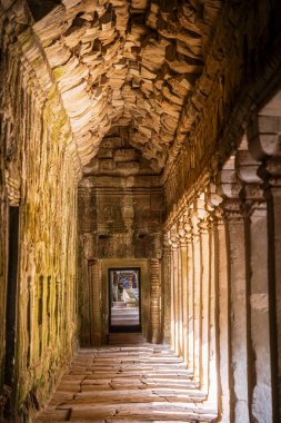 Angkor, Kamboçya 'daki Antik Ta Phrom Tapınağı