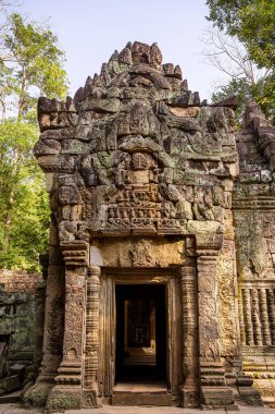 Angkor, Kamboçya 'daki Antik Ta Phrom Tapınağı
