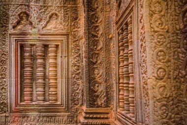 Angkor, Kamboçya 'daki Antik Ta Phrom Tapınağı