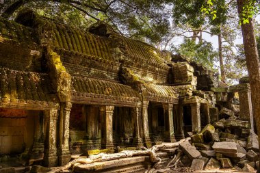 Angkor, Kamboçya 'daki Antik Ta Phrom Tapınağı