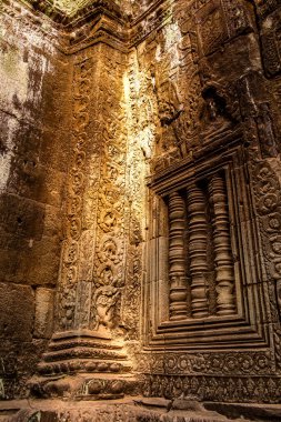 Angkor, Kamboçya 'daki Antik Ta Phrom Tapınağı