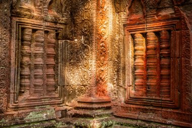Angkor, Kamboçya 'daki Antik Ta Phrom Tapınağı