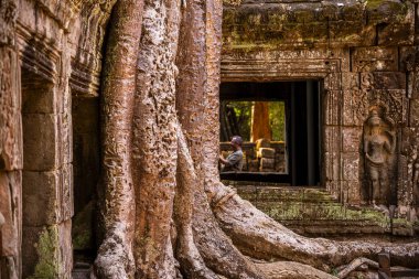Angkor, Kamboçya 'daki Antik Ta Phrom Tapınağı