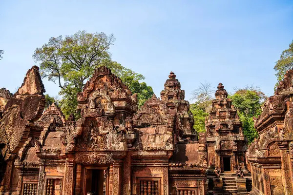 Banteay Srei Tapınağının antik kalıntıları, Angkor, Kamboçya