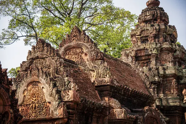 Banteay Srei Tapınağının antik kalıntıları, Angkor, Kamboçya