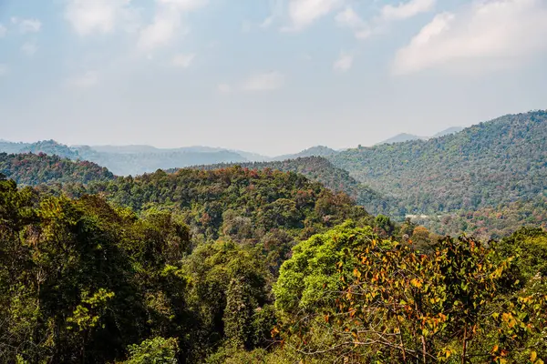 Sirikit Kraliçesi Botanik Bahçeleri, Tayland