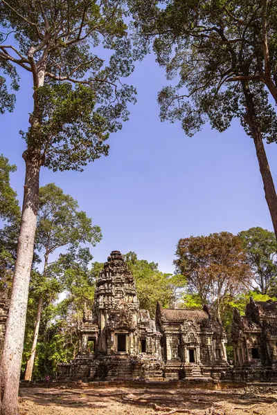 Angkor, Kamboçya 'daki Chau Say Tevoda Tapınağı' nın antik kalıntıları