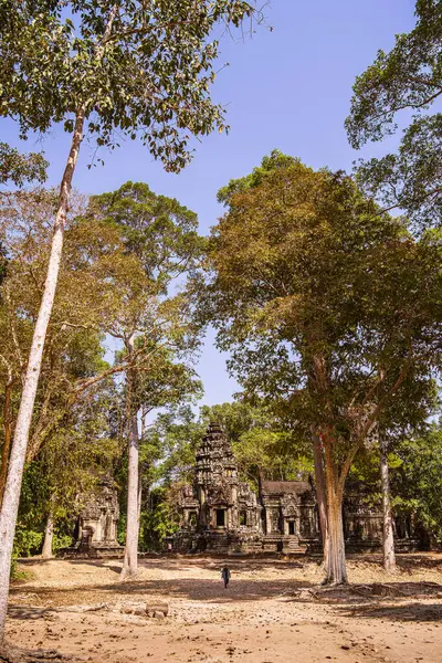 Angkor, Kamboçya 'daki Chau Say Tevoda Tapınağı' nın antik kalıntıları