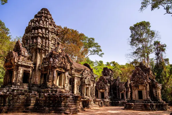 Angkor, Kamboçya 'daki Chau Say Tevoda Tapınağı' nın antik kalıntıları