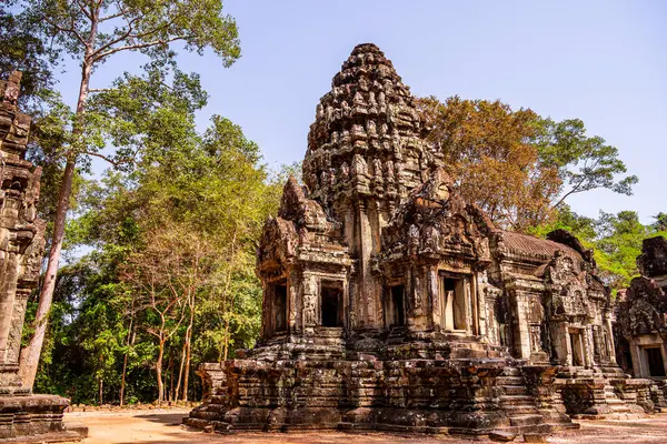 Angkor, Kamboçya 'daki Chau Say Tevoda Tapınağı' nın antik kalıntıları