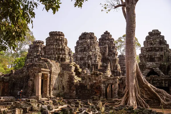 Angkor, Kamboçya 'daki Banteay Kdei Tapınağı' nın antik kalıntıları