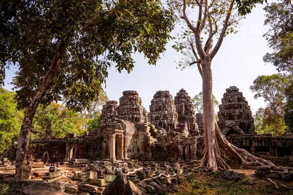 Angkor, Kamboçya 'daki Banteay Kdei Tapınağı' nın antik kalıntıları