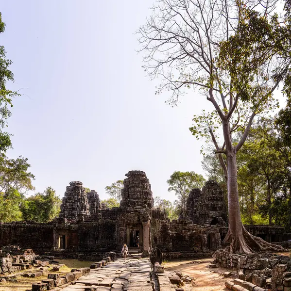 Angkor, Kamboçya 'daki Banteay Kdei Tapınağı' nın antik kalıntıları