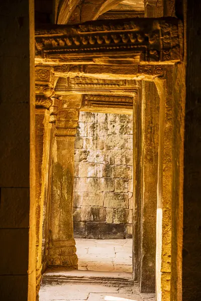 Angkor, Kamboçya 'daki Antik Ta Phrom Tapınağı