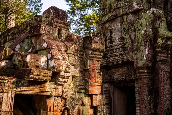 Angkor, Kamboçya 'daki Antik Ta Phrom Tapınağı