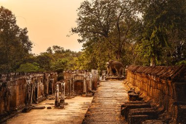 Angkor, Kamboçya 'daki Antik Doğu Mebon Tapınağı