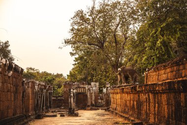 Angkor, Kamboçya 'daki Antik Doğu Mebon Tapınağı